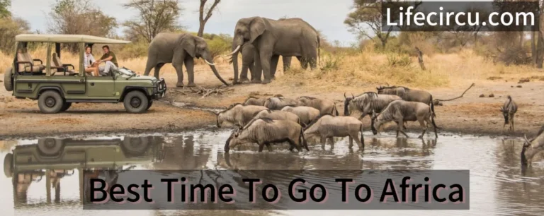 Best Time to Go to Africa