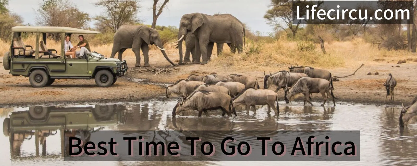 Best Time to Go to Africa