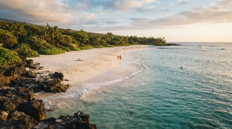 Big island hawaii beach showing black sand at Punalu'u with sea turtles resting