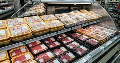 Halal labeled meat packages in a grocery store