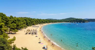 Koukounaries beach on Skiathos with pine forest and clear water