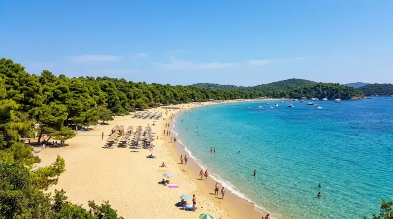 Koukounaries beach on Skiathos with pine forest and clear water